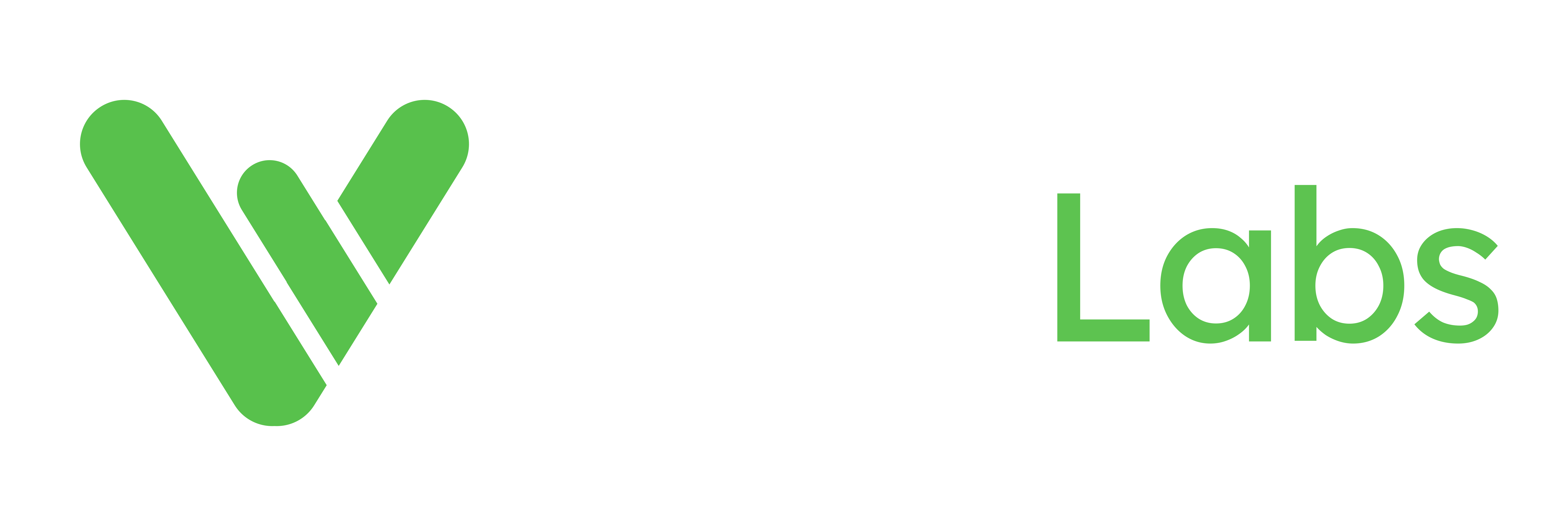 Vask Labs Logo